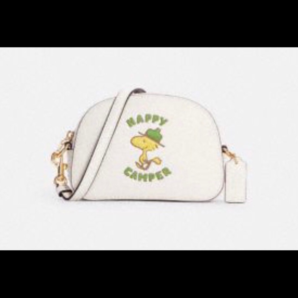 Coach x Peanuts - Picture 1 of 1